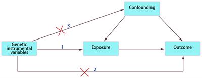 Fatty acids and risk of dilated cardiomyopathy: A two-sample Mendelian randomization study